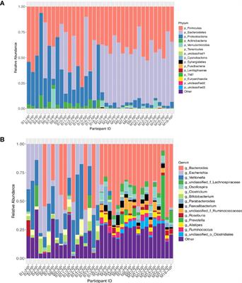 The P4 Study: Postpartum Maternal and Infant Faecal Microbiome 6 Months After Hypertensive Versus Normotensive Pregnancy